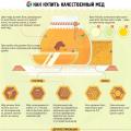 Využití medu k výživě a léčbě pacientů s gastritidou