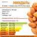 Полезные свойства миндаля Какие витамины в миндальных орехах