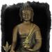 Numele tuturor celor 7 Buddha ai Medicinii